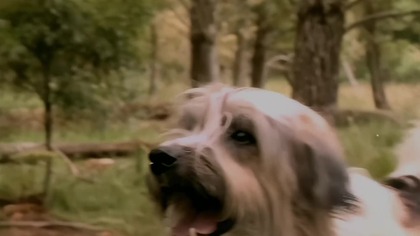 S.  KING. - The Tommyknockers part 1.  (1993)