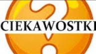 5 Ciekawostek na temat wszystkiego