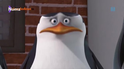 Numz - 22. 07. 2025 | Pingwiny z Madagaskaru