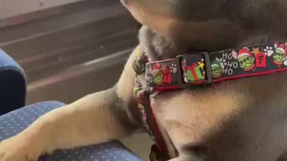 Gdzie moja książka !?