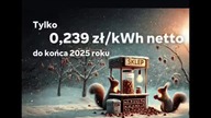 polecam Fortum kiedyś zrobili mi promocje 5 groszy na prąd