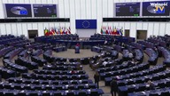 BRYŁKA NOKAUTUJE ZIELONYCH L0BBYSTÓW W UE!
