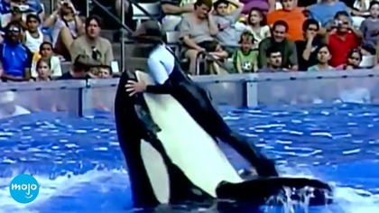 10 Disturbing Theme Park Incidents CAUGHT on Camera