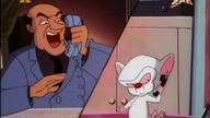 Pinky i M&oacute;zg S03E30 - W tym mieście nie masz już, czego szukać