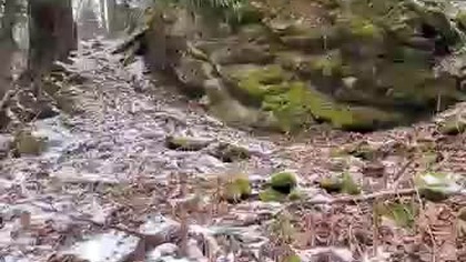 Bieszczadzkie skałki...  Bieszczadzka Chatka Gosia #bieszczady #wbiesy #biesy #wbieszczady #las