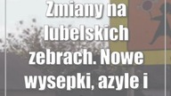Zmiany na lubelskich zebrach.  Nowe wysepki, azyle i wyświetlacze emotikonów