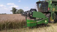 Zapowiedź żniwa 2019 rzepak/John Deere 2256/Kula