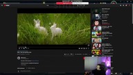 NITRO SŁUCHA MATA KISS CAM