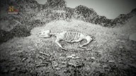 Starożytni kosmici - Kosmici i dinozaury [Lektor PL]