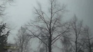 Niecodzienny widok