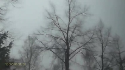 Niecodzienny widok