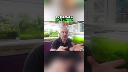 Bogate podłoże? Pamiętaj o TEJ jednej rzeczy! 