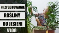 Jak przygotować rośliny domowe do jesieni  VLOG 