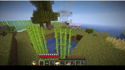 Tak, standardowy Nether