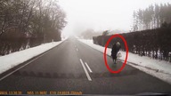 NAGRANIA KTÓRE PRZYŚPIESZĄ BICIE TWOJEGO SERCA!