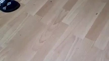 SZYMON 105 (Sebastian, Siniarzewo)