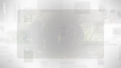 Handel gorylami [LEKTOR PL]