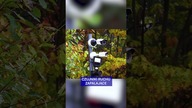 ODWIEDZILIŚMY TWIERDZĘ ZIOBRY.  NIE UWIERZYSZ CO TAM ZNALEŹLIŚMY