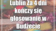 Lublin: Za 4 dni kończy się głosowanie w Budżecie Obywatelskim Lublina