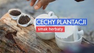 Terroir: cechy plantacji a smak herbaty.  Czajnikowy.pl