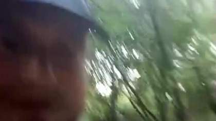 Krajobraz po burzy i ulewie! Jak wygląda las? Rubik i Sarmata w lesie! Spacer z psem i pogadanka!