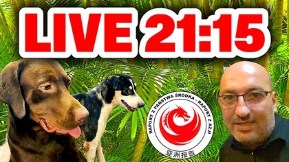 Zwalniam lekko tempo i reorganizuje system