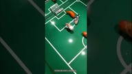 TE RYBKI POTRAFIĄ GRAĆ W PIŁKĘ!  #shorts