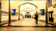 ZDRADY 6 (ODC.  11) 2025-04-01 21-08-25-875