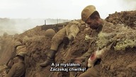 2013 Cel Viju - Cel widzę DVDRip NPL