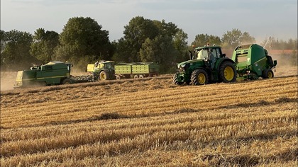 Cześć,

Kilka słów o agrotechnice pszenicy w tym roku.

Jesień:

Wapno (koszt dzielony na 4lata) 100zł
Talerzówka 100zł
Głębosz 400zł
Spaw Met 100zł
Siew + materiał siewny 550zł
Odchwaszczenie 130zł
Zbiór kamieni 50zł

Wiosna:

Siarczan magnezu -180zł
RSM26 +3S 180l - 300zł
RSM 32 150l - 250zł
Saletrosan 120kg 200zł

T1 Revyex Plus/ Wirtuoz Pro + R1 (CCC + trineksapak) + Green Zboża - 400zł
Ewentualna poprawka na chwasty - 200zł
T2 Queen/+ mikro + insektycyd - 350zł
T3 - Tebukonazol + insektycyd 100zł
Zbiór 400zł
Transport zboża 50zł


Ubezpieczenie 100zł, przygotowanie maszyn 300zł, podatek 180zł 
Można doliczyć jeszcze amortyzację ale sporo moich maszyn ma to już za soba  

Łączny koszt 4440zł netto/ha