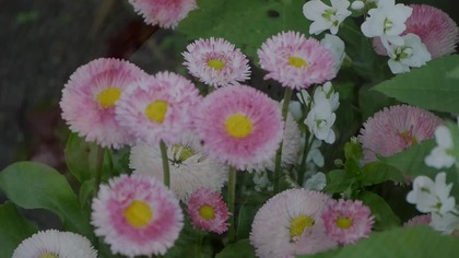 Muminki - spektakl domowy :)