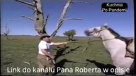 Makłowicz Słucha Mata Patoreakcja