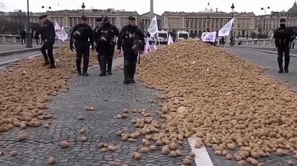 ROLNICY wysypali TONY ZIEMNIAKÓW przed PARLAMENTEM w STOLICY! mp4 458x288