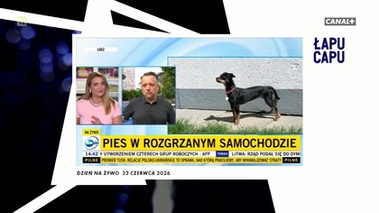 Łapu Capu (25 czerwca 2026)