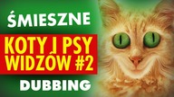 ŚMIESZNE KOTY I PSY WIDZÓW #2  DUBBING: MATT OLECH