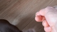 Obiadogimnastyka i tłuszczyk mnie nie tyka #chihuahua