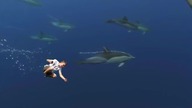 Shooting stars - meme Maciek