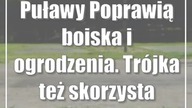 Puławy: Poprawią boiska i ogrodzenia.  Trójka też skorzysta