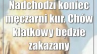 Nadchodzi koniec męczarni kur.  Chów klatkowy będzie zakazany