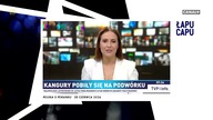 Łapu Capu (30 czerwca 2026)