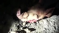 Jak zablokowali budowę meczetu w Rosji +18
