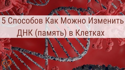 5              .