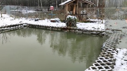 Luźny spacer i takie tam gadanie o rybach, trochę o fotowoltaice i innych pierdołach