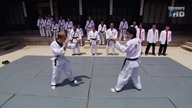 Fight Quest - Sztuki walki - Korea Południowa.  Hapkido
