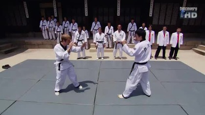 Fight Quest - Sztuki walki - Korea Południowa.  Hapkido