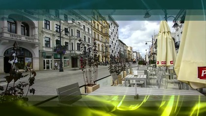 Kierowca zaskoczył reporterkę