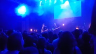 Kwiat Jabłoni - Kometa