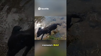 PIERWSZE WEJŚCIE do rzeki! Zobaczcie co zrobiła Nela  #shorts