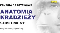 ANATOMIA KRADZIEŻY - POJĘCIA PODSTAWOWE CZ.  7a