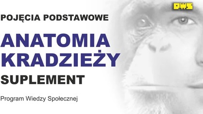 ANATOMIA KRADZIEŻY - POJĘCIA PODSTAWOWE CZ.  7a